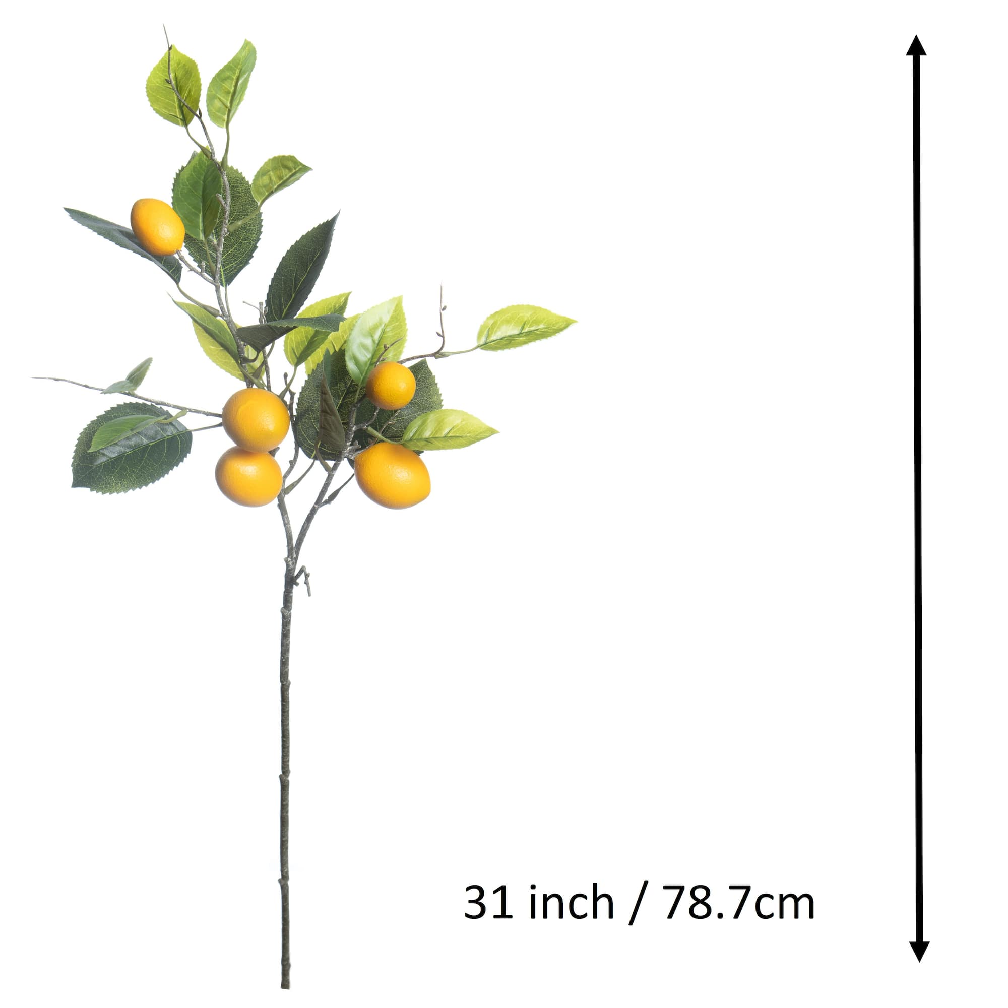 6 Pack: 31" Lemon Branch by Ashland®